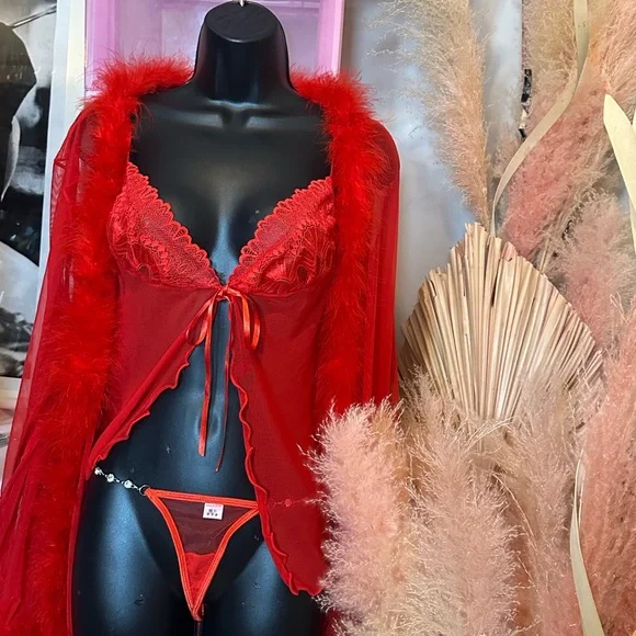 Luxurious Scarlet Lace Robe Set - Picture 3 of 4